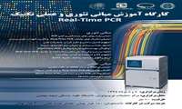 کارگاه آموزش مبانی تئوری و عملی تکنیک Real-Time PCR مرداد 94